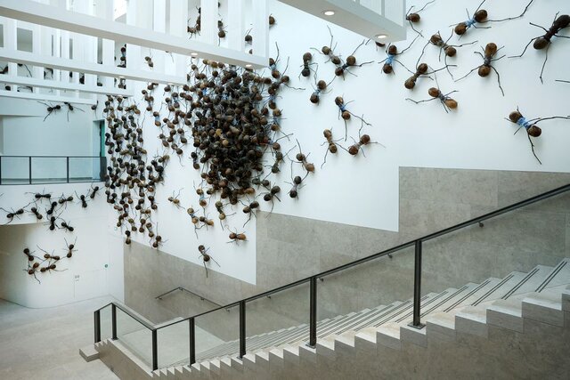 تصاویری از حمله مورچههای غولپیکر به موزه آمستردام