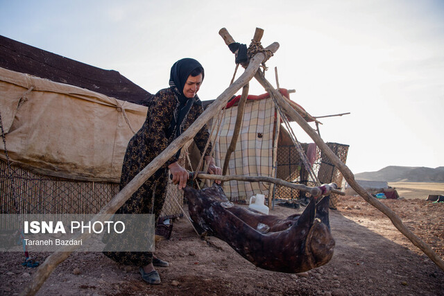 افزایش یک میلیون نفری بیمه‌شدگان صندوق روستایی و عشایر/ افزایش ۶۰ درصدی سطوح درآمدی بیمه‌شدگان