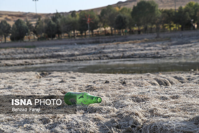 "سراب نیلوفر" دیگر زیبا نیست
