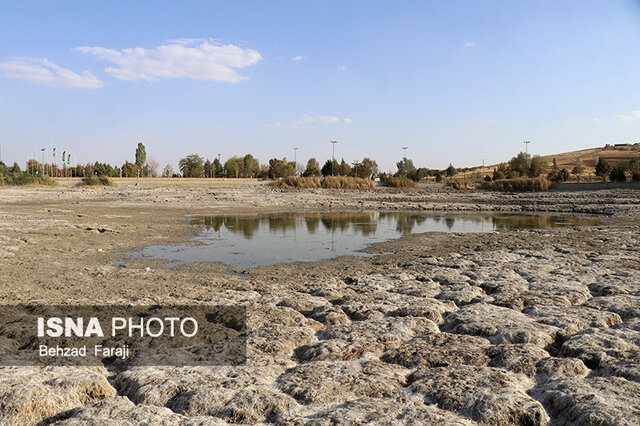 "سراب نیلوفر" دیگر زیبا نیست