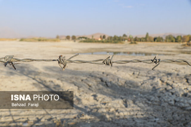 "سراب نیلوفر" دیگر زیبا نیست