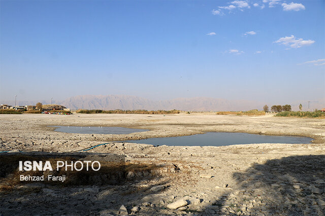 "سراب نیلوفر" دیگر زیبا نیست