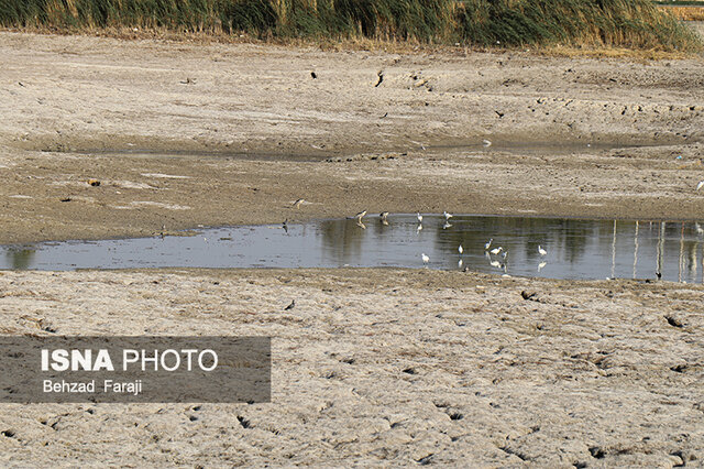 "سراب نیلوفر" دیگر زیبا نیست