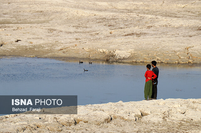 "سراب نیلوفر" دیگر زیبا نیست