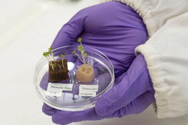 بیتوجهی پارک علم و فناوری قزوین به کشاورزی دانشبنیان