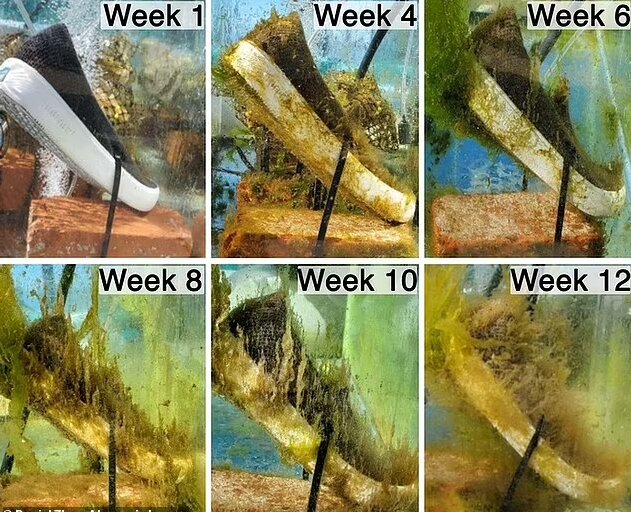 کفشهایی که زیر آب تجزیه میشوند