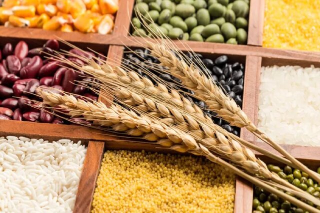 پیشگامی مرکز تحقیقات کشاورزی اصفهان در حفاظت ژنتیکی و کشاورزی دانشبنیان