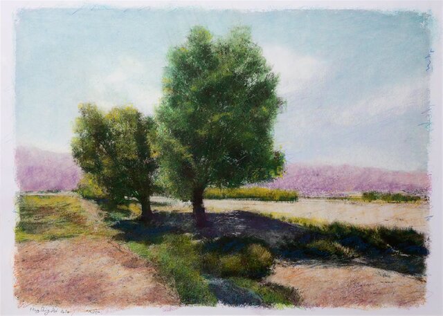 بیقراریهایی از جنس کیارستمی در یک هنرمند نقاش