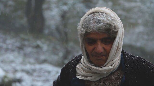 راهیابی دوربینهای یک مستند به خلوت پیرزن جنگلنشین