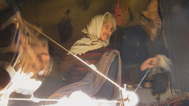 راهیابی دوربینهای یک مستند به خلوت پیرزن جنگلنشین