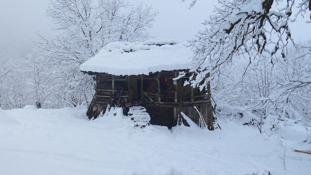 راهیابی دوربینهای یک مستند به خلوت پیرزن جنگلنشین