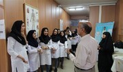 افسانه زنانه شدن دانشگاه؛ زنان در آموزش عالی با سقف شیشه‌ای دوجداره مواجه‌اند