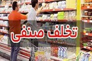 تشکیل بیش از ۱۵۰ هزار پرونده تخلف اقتصادی 