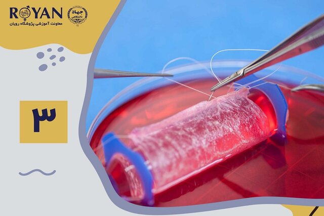 سومین دوره جامع مهندسی سلول و بافت  سومین دوره جامع مهندسی سلول و بافت