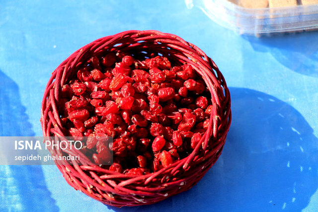 جشنواره ملی زرشک خراسان جنوبی