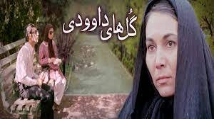 برای بازیگری که دوست نداشت زن پای سماور باشد