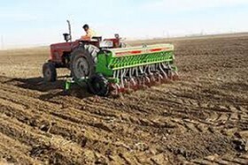 دیم کاران خراسان شمالی نسبت به خشکه کاری اقدام کنند