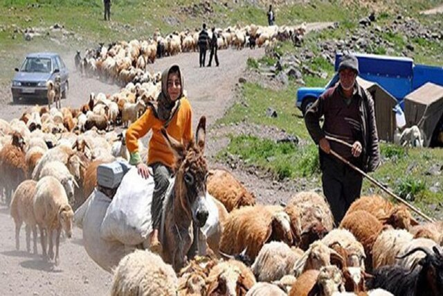 عبور از بزرگراهها و تأمین ایمنی دامها ازمشکلات عشایر استان تهران/لزوم ایجاد ایمنی در مسیر کوچ عبور از بزرگراهها و تأمین ایمنی دامها ازمشکلات عشایر استان تهران/لزوم ایجاد ایمنی در مسیر کوچ