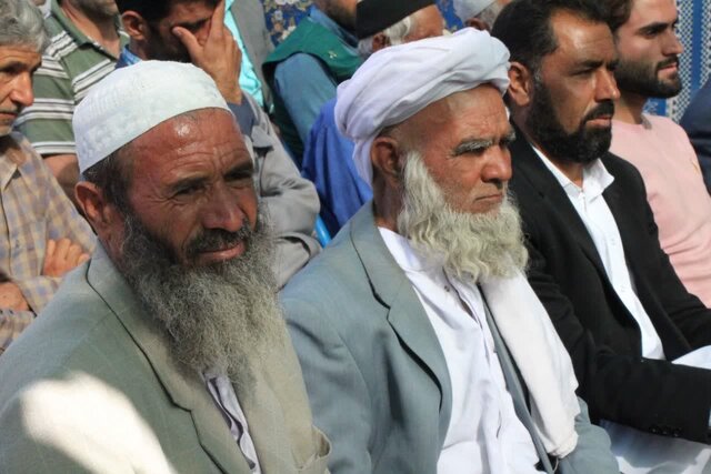 جشنواره ملی زرشک _ درمیان