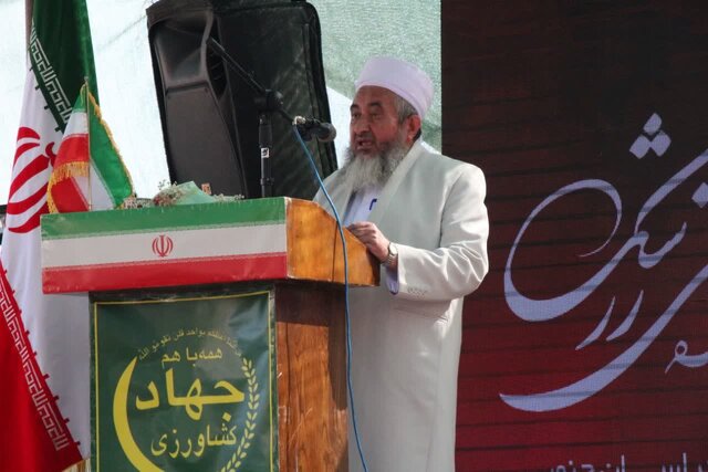 جشنواره ملی زرشک _ درمیان