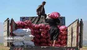 صادرات ۲.۲ میلیارد دلاری از مرزهای کرمانشاه در ۱۰ ماهه امسال