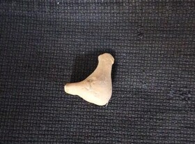 ۲۰۰۰ سال پیش هم سوت می‌ساختند