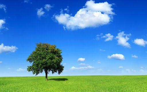 هوای مشهد پس از ۱۱ روز آلودگی قابل قبول شد هوای مشهد پس از ۱۱ روز آلودگی قابل قبول شد