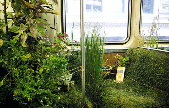 عکسهایی از ۳ گالری عجیب دنیا