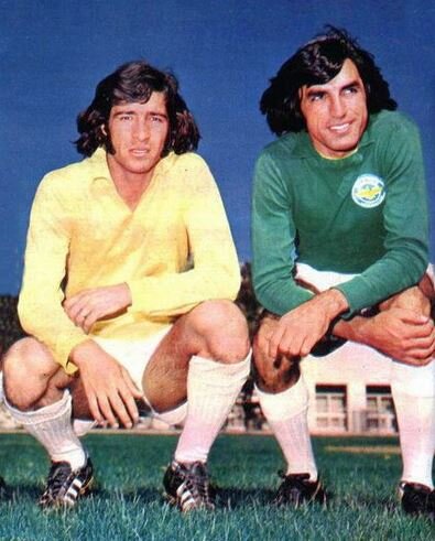 ۱۵ سنگربان ایران در آوردگاه جهانی فوتبال