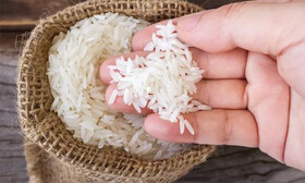 ویژگی‌های برنج ایرانی، پاکستانی و هندی را بشناسید
