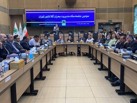 ضرورت توجه به اورژانس برای افزایش توان امدادرسانی در بحران