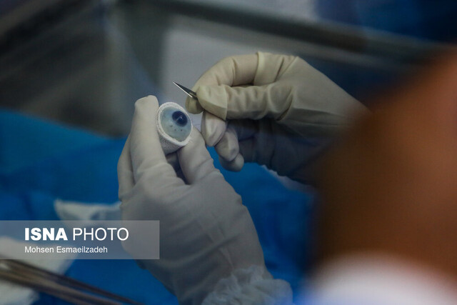 عکس تزئینی و آرشیوی است موفقیت محققان ایرانی در راستای ژن درمانی و پیشگیری از نابینایی مبتلایان به عارضه ارثی شبکیه