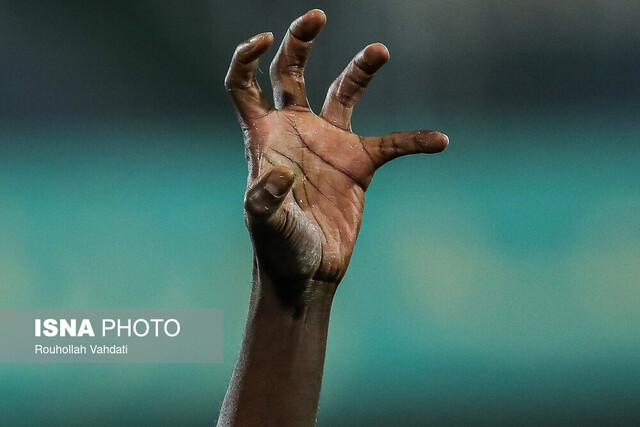 تصاویر منتخب هفته یازدهم لیگ برتر؛ پنجه شیر