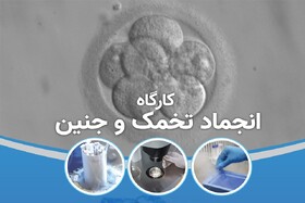 کارگاه انجماد شیشه‌ای تخمک و جنین