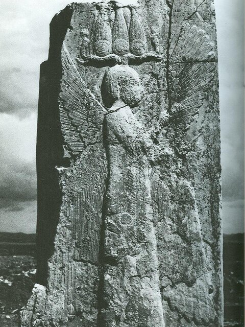 مردی در پاسارگاد بال دارد!