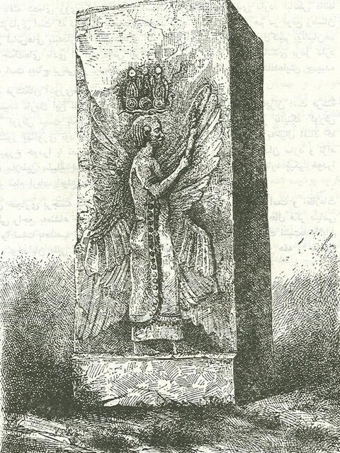 مردی در پاسارگاد بال دارد!