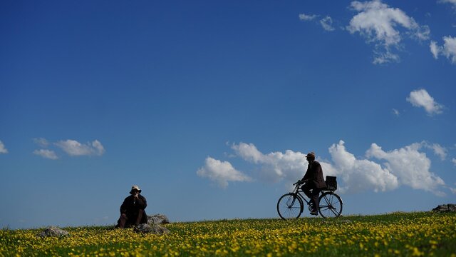 فیلم جدید رضا جمالی به جشنواره تالین دعوت شد