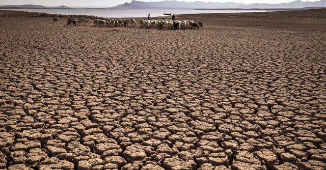 تشکیل "اتحادیه تاب‌آوری در برابر خشکسالی" در COP۲۷
