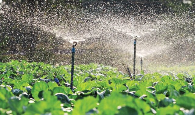 پمپ آب کشاورزی چی بخرم؟