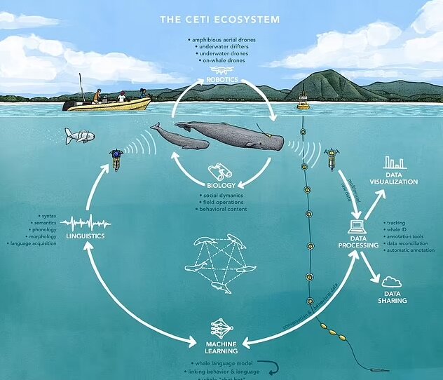 رویای صحبت کردن انسان با حیوان تحقق مییابد!