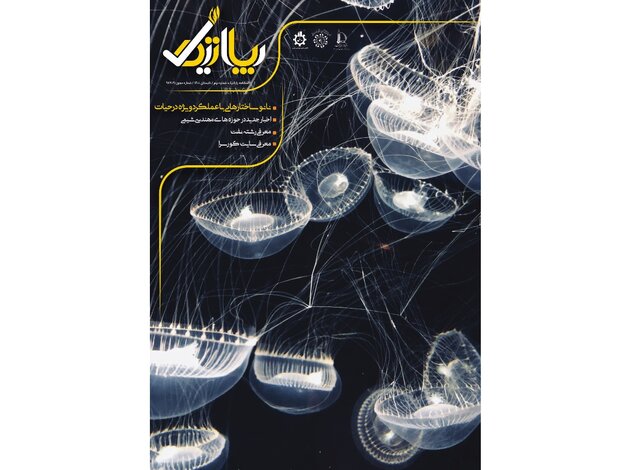 انتشار شماره جدید نشریه دانشجویی «پایاتیک» انتشار شماره جدید نشریه دانشجویی «پایاتیک»