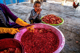 نگین سرخ لرستان