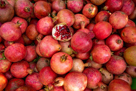 نگین سرخ لرستان