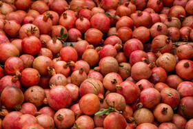 نگین سرخ لرستان