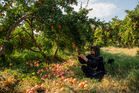 نگین سرخ لرستان