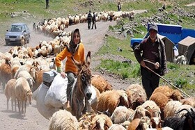 خسارت سنگین سیل به راه‌های ارتباطی عشایر استان اردبیل