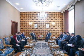 دیدار وزیر اقتصاد ارمنستان با خاندوزی