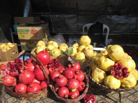 جشنواره‌ انار در روستای جوشقان برگزار می‌شود