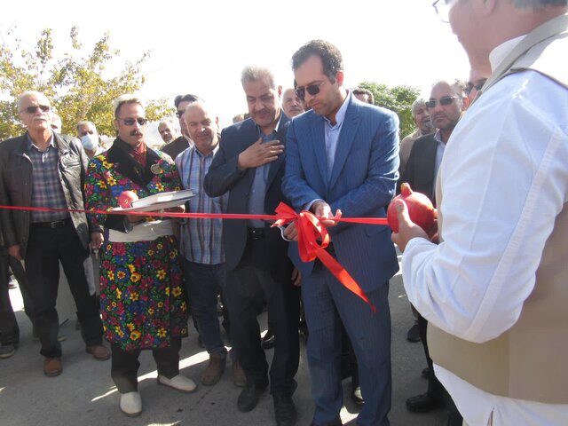 رتبه سوم تولید انار دنیا در اختیار ایران است