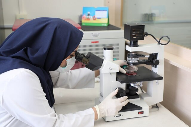 غنای مجموعه سلولی و بانک سلولی انستیتو پاستور ایران/ هزینه اهدای سلول در کشور.